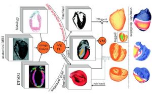 Vicente Research